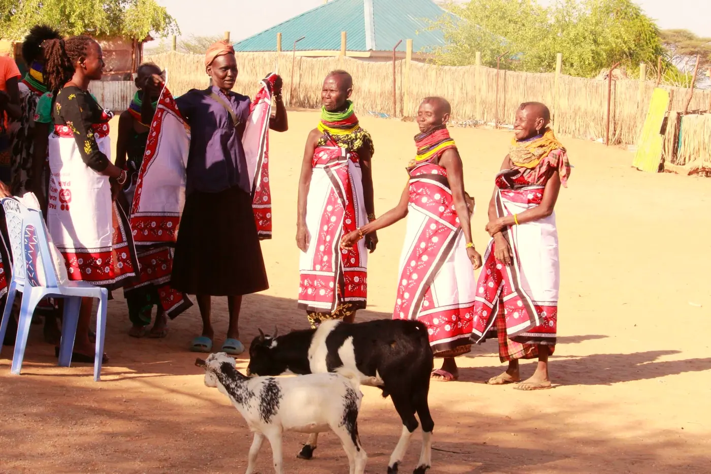 Women from Natoot dancing at the launch, with goats nearby.