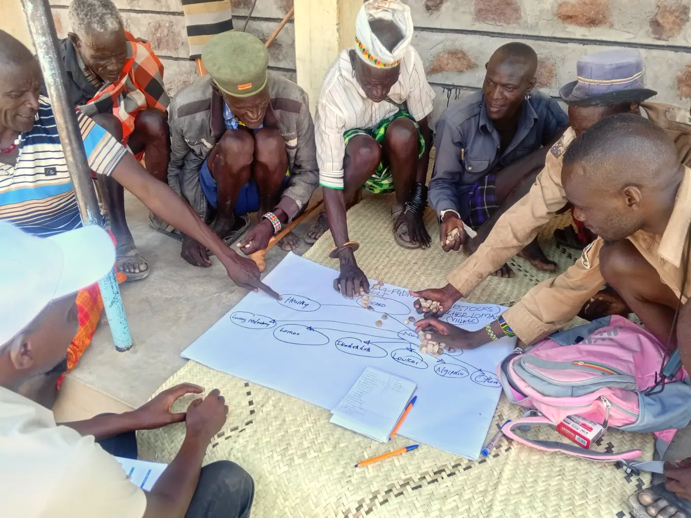 Men place stones on a chart to estimate illness and deaths from the top five sheep and goat diseases.